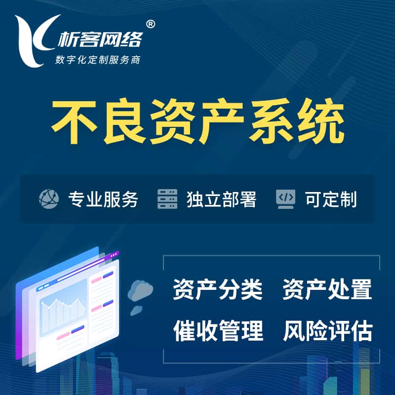 丽江不良资产管理系统