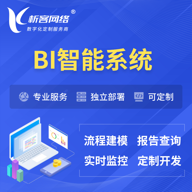 丽江BI智能系统 | BI数据可视化